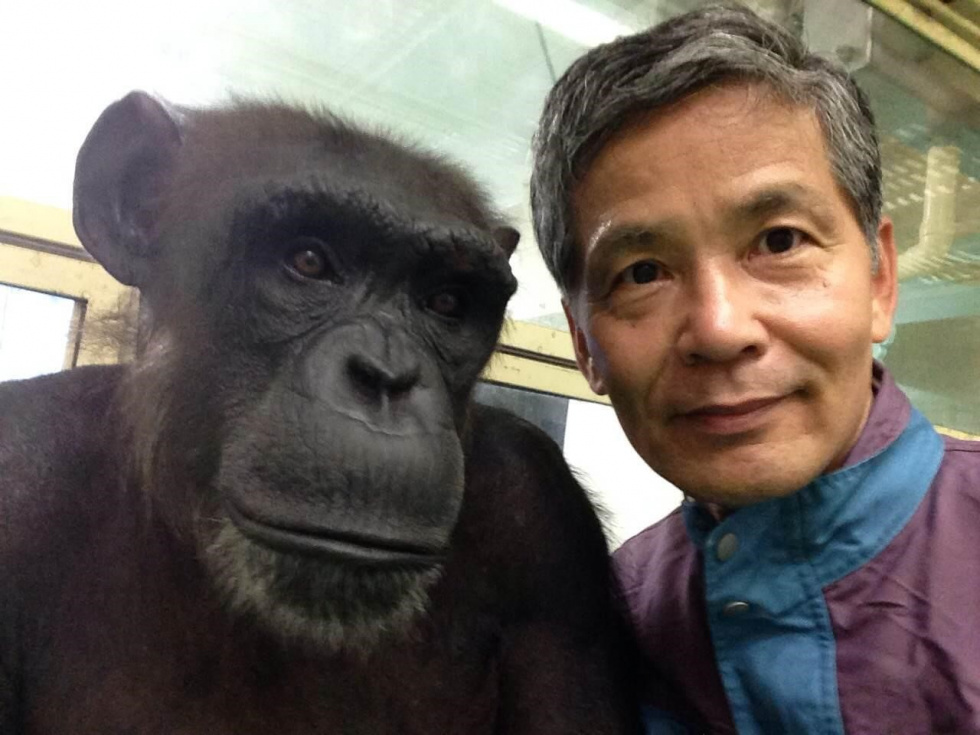 Tetsuro Matsuzawa y Ai. / Universidad de Kioto