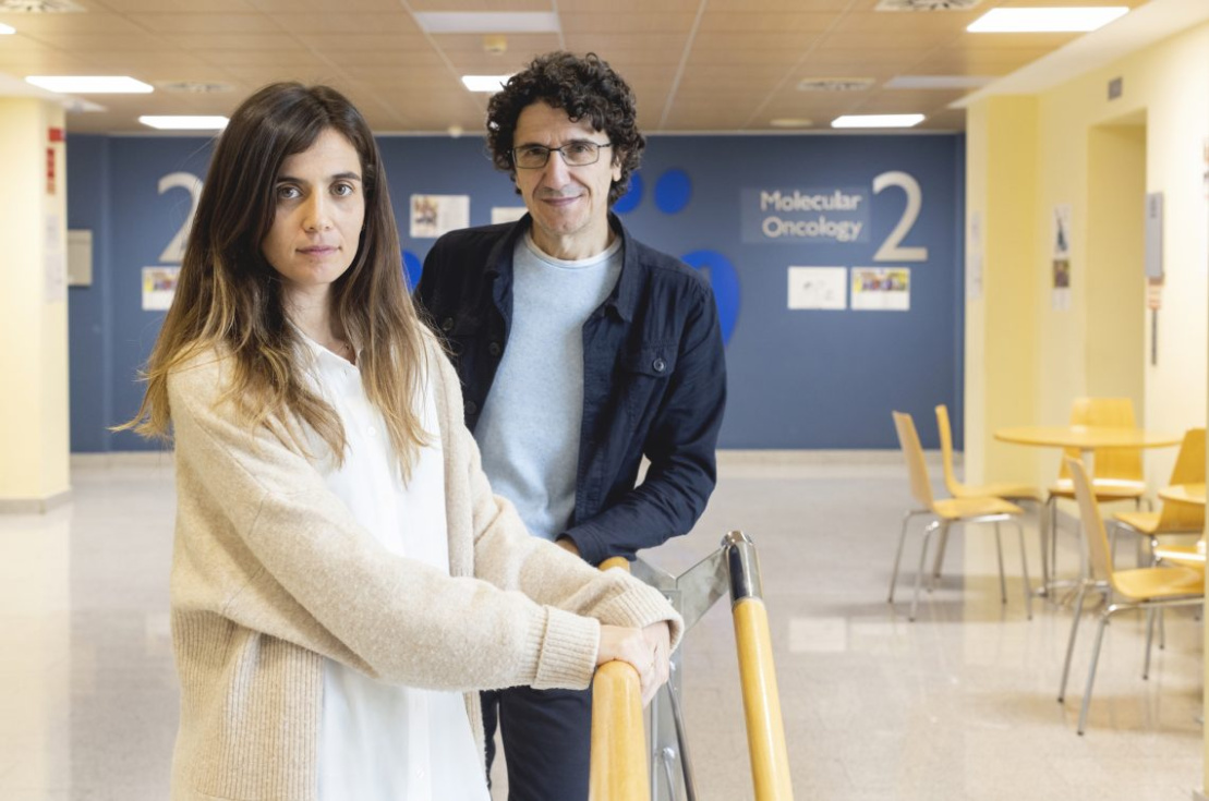 La investigadora Carolina Villarroya con Marcos Malumbres, jefe del grupo de División Celular y Cáncer del CNIO. / Laura M. Lombardía. CNIO.
